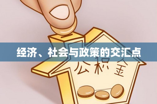 卓溪经济、社会与政策的交汇点
