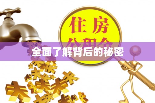卓溪全面了解背后的秘密