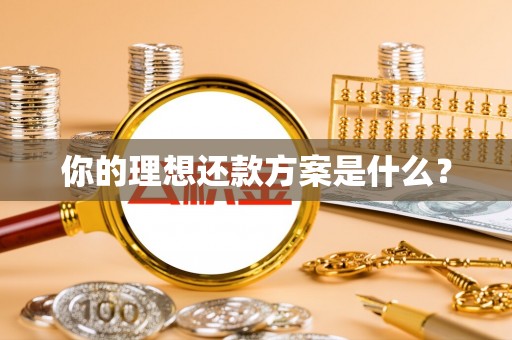 卓溪你的理想还款方案是什么？