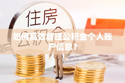 卓溪如何高效管理公积金个人账户信息？