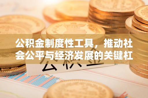 卓溪公积金制度性工具，推动社会公平与经济发展的关键杠杆