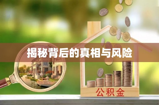 卓溪揭秘背后的真相与风险